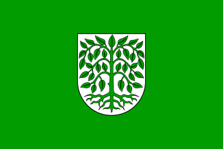 [Hagenbach city flag]