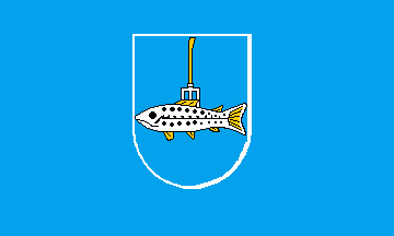 [Rhumspringe municipal flag]