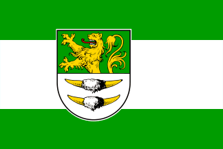 [Thönse borough flag]