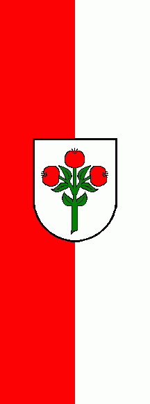[Schwarzach (Odenwald) municipal banner]