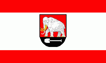 [Seedorf municipal flag]