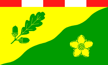 [Janneby municipal flag]