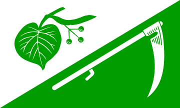 [Stoltebüll municipal flag]