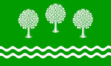 [Wohlde municipal flag]