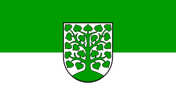 [Homburg city flag]