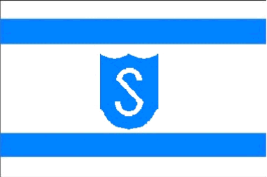 [Siemens flag]