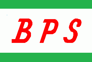 [Bonner Personen Schiffahrt - old flag]