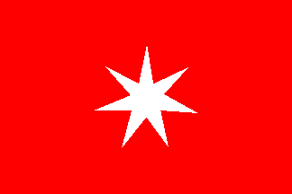[Flag of P. Brown Jun. & Co.]
