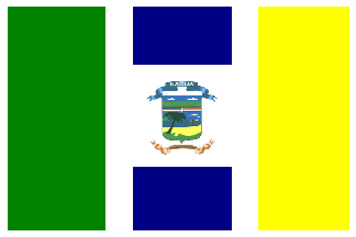 Flag of Nagua