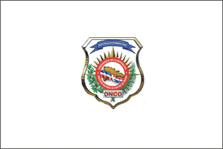 [National Drug Control Directorate flag]