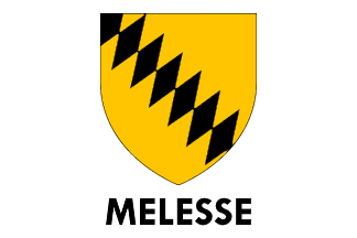 Melesse