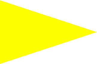[Yellow beach flag]