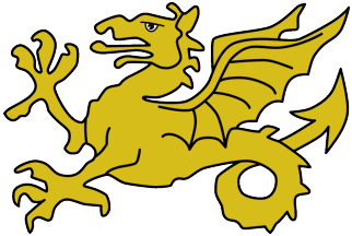 WESSEX FLAG 5’ x 3’ Anglo Saxon Gold Wyvern Dragon English England County Flags 