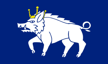 [Flag of Kingswinford]