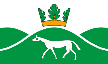 [Pewsey flag]