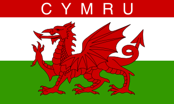 Y Ddraig Goch ScarfRuffnek Details about   Welsh Flag