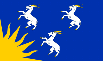 [Flag of Merioneth, Wales]