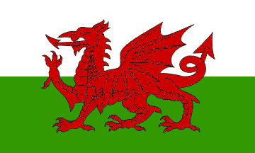 Welsh Dragon Flag Red Wheel Valve Dust caps ANTI THEFT all Models 