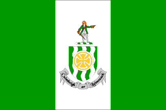 LIMERICK IRELAND COUNTY 3'x5' FLAG 