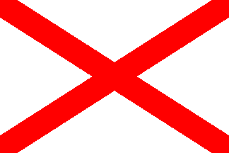 PATRICK DRAPEAU FLAG PAYS COUNTRY Ø25MM PIN BADGE BUTTON IRLANDE IRELAND ST 