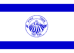[Regional Council of Hevel Yavne, desk flag (Israel)]