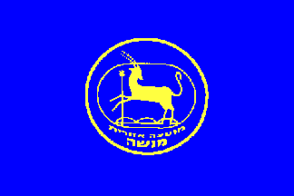 [Regional Council of Menashe, Desk Flag Variant (Israel)]