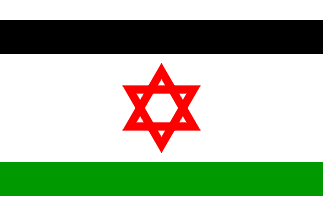 [Palestinian/Israeli Flag]