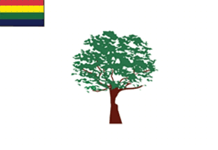 [Flag of Ajayraipura]