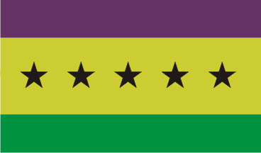 [Community of Sahelo-Saharan States flag]