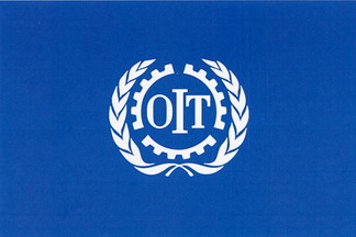International Labour Organization