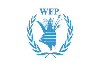 Wfp Organization Chart