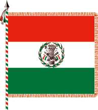 Italian Royal Flags 90 x 150 cm Banner 3x5 ft with Hole AZ FLAG Kingdom of Italy 1805-1814 Flag 3' x 5' for a Pole