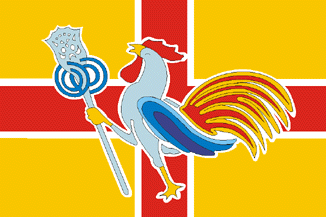 Risultati immagini per bandiera romagna gallo