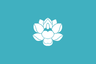 [Sinŭiju Special Administrative Region (North Korea)]