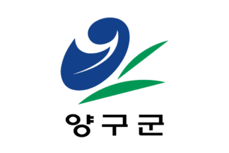 [Yanggu County flag]
