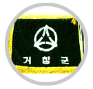 [Geochang County old flag]