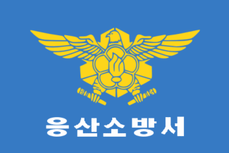 [Yong San Fire Department Flag]