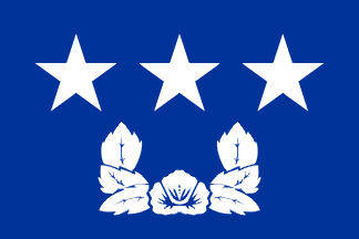 [Vice Admiral's flag]