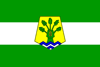 Ben Slimane prov. flag