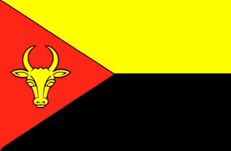 [flag of Anenii Noi]