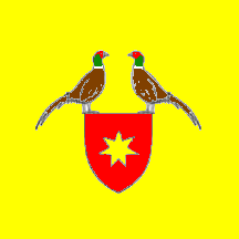[flag of Caracui]