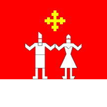 [flag of Costuleni]