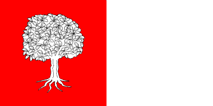 [flag of Judet Chişinău]