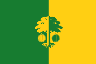 [flag of Străşeni]