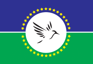 Flag of Martinique (2023) Patch, Zazzle