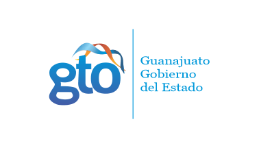 [2006-2012 Government of Guanajuato flag]