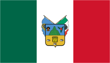 Hidalgo unofficial tricolor flag