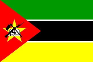 Image result for mozambique flag