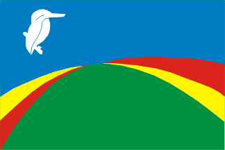 [Biddinghuizen flag]