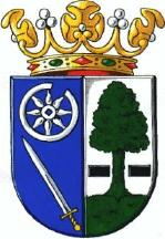 Heerenveen Coat of Arms